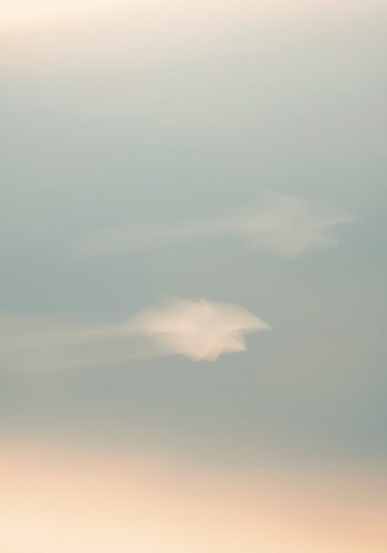 02 (1) (1)